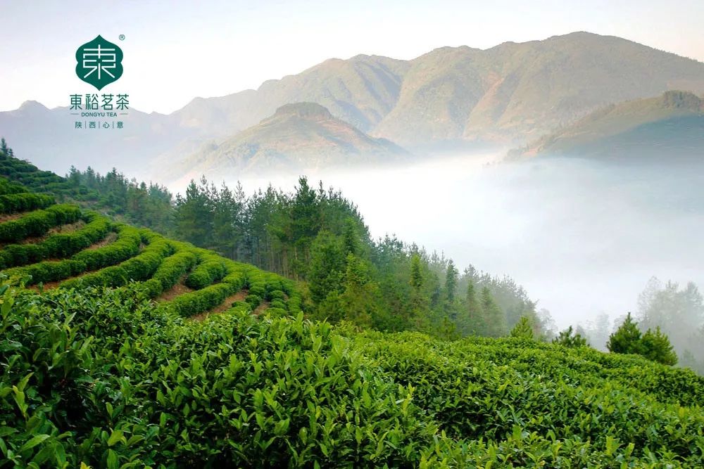 干净,是一个人最好的底牌