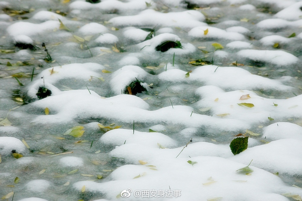 西安近日或将迎来雨夹雪|西安|小雨|阴天_新浪网