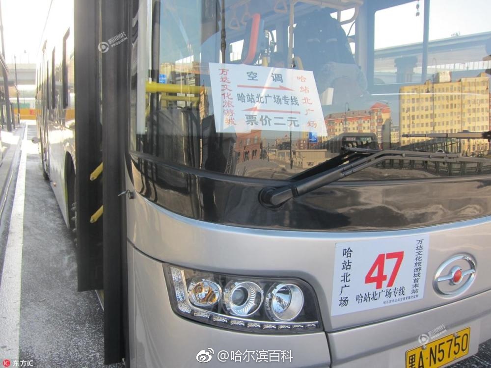 哈尔滨一公交站近千平米只有一路车[汗]