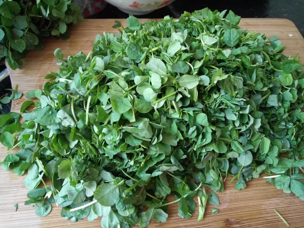 春天才能吃到的草娇嫩鲜美清肠瘦身