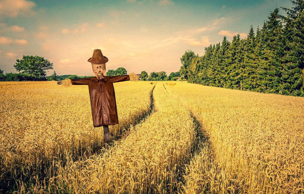 一天,农夫对稻草人说:"你总是孤独守望在这片寂寞的土地上,你一定厌倦