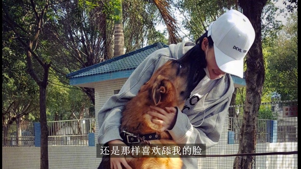 张馨予艾勒薇斯 被张馨予和艾勒薇斯感动哭了,看到节目还是会泪奔