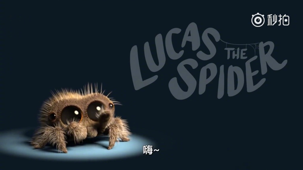 小蜘蛛卢卡斯配音素材图片