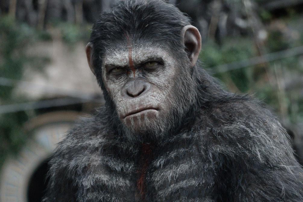 6分钟告诉你《猩球崛起》里凯撒的童年遭遇