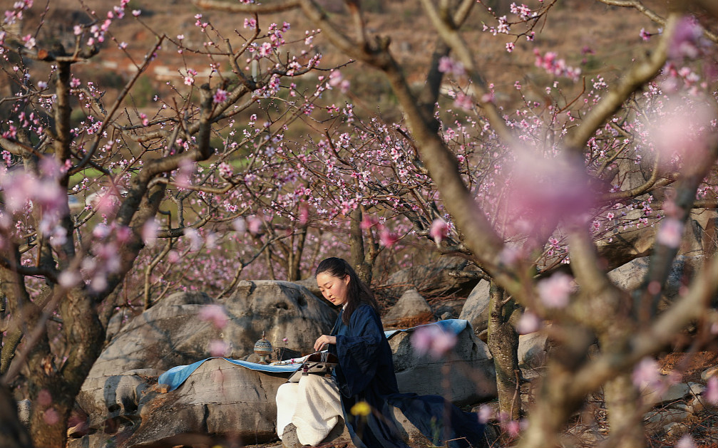 汉服美女桃园抚琴赏春光 网友惊呼:画面太美