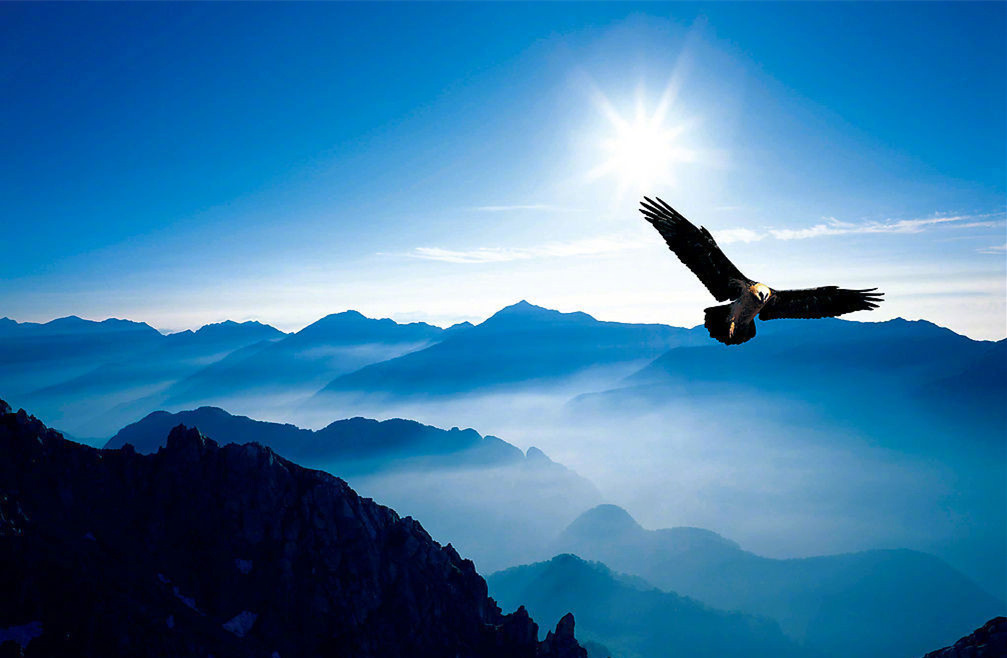 如果你想像雄鹰一样翱翔天空那你就要和群鹰一起飞翔