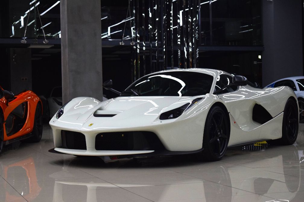 上海弄堂里的白色拉法,为看一眼,追了它两条街