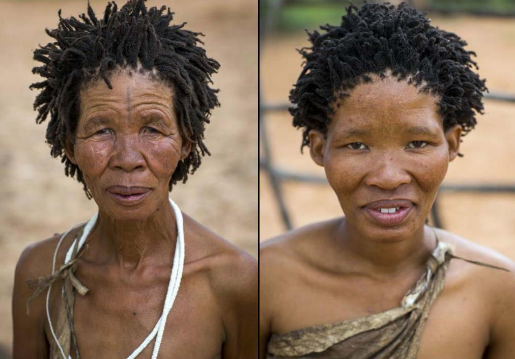 纳米比亚桑人部落靠粪便搭建房屋, 原因竟是接近自然|纳米比亚|部落|