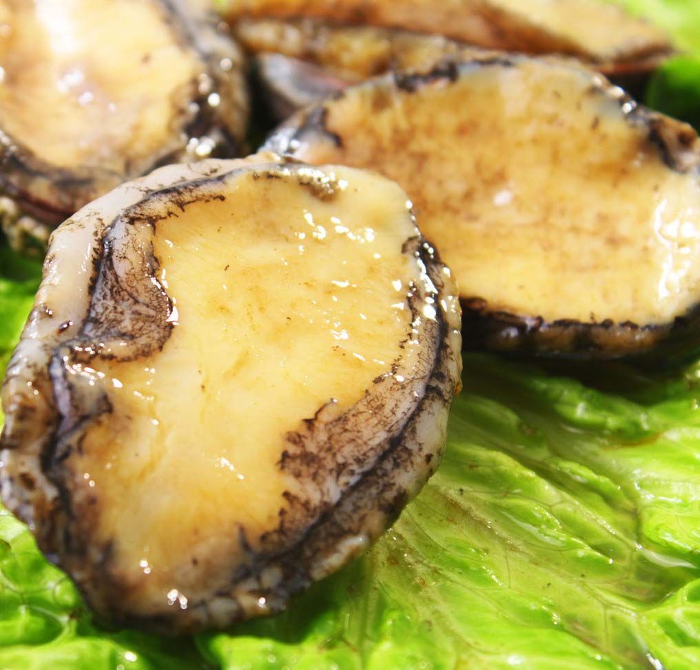 鲍鱼又名鳆鱼,石决明肉,镜面鱼,明目鱼和大鲍等.