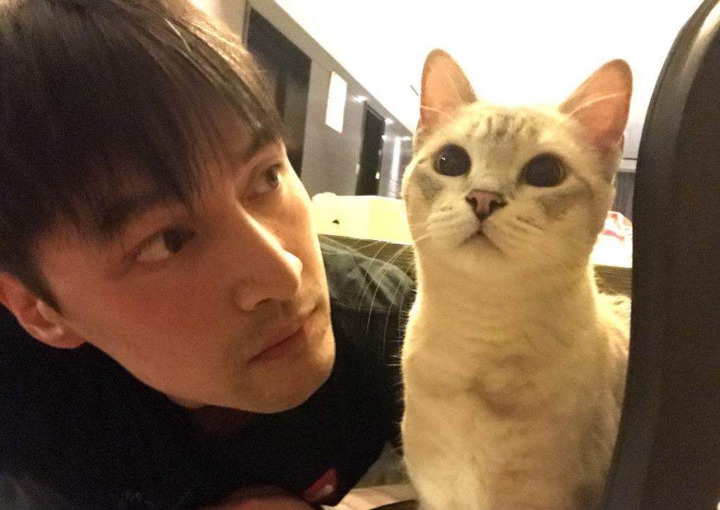 胡歌晒扮丑自拍,"自拍界泥石流"再上线