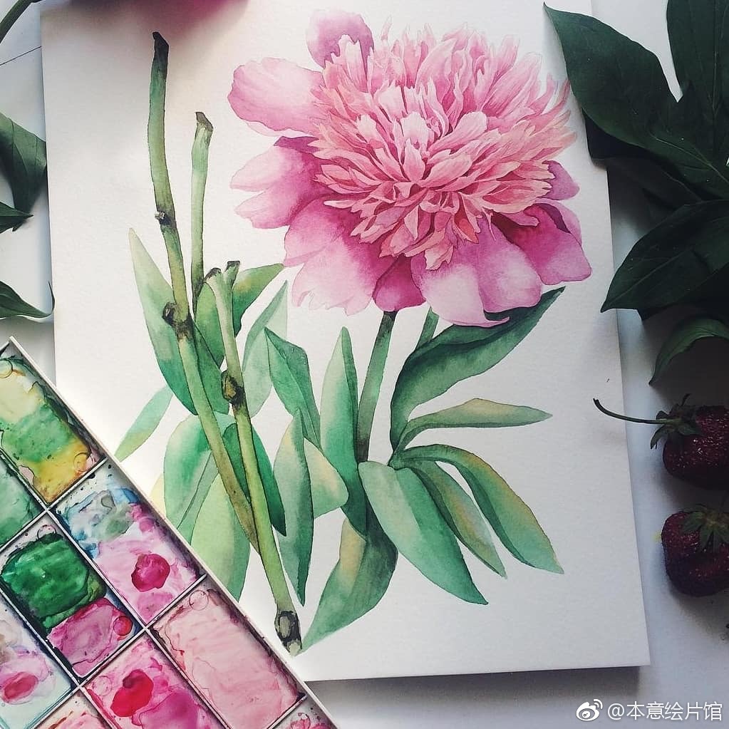 水彩花卉作品一组,周末愉快 | ins:watercolor_daily