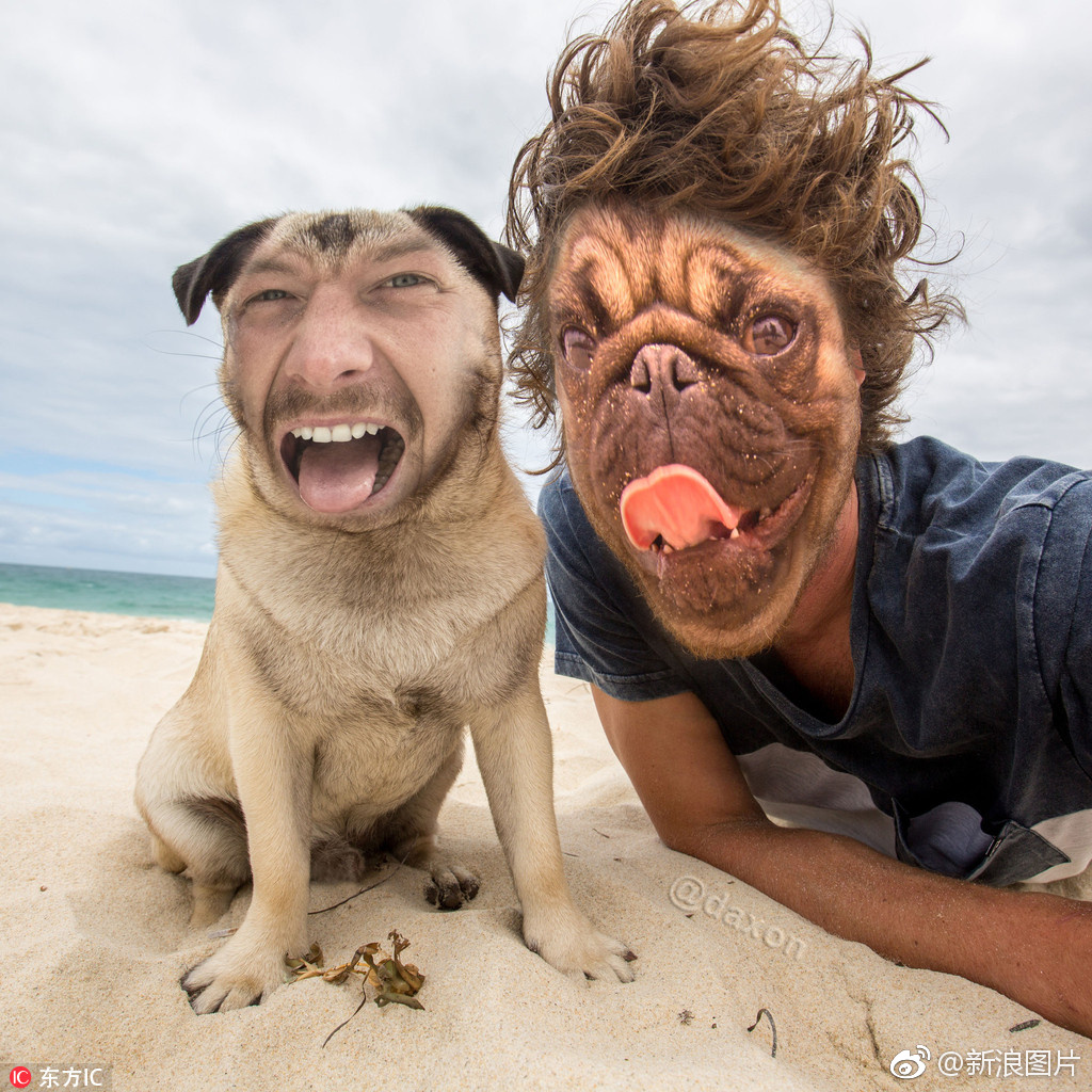 网红小哥与动物换脸自拍 效果超赞