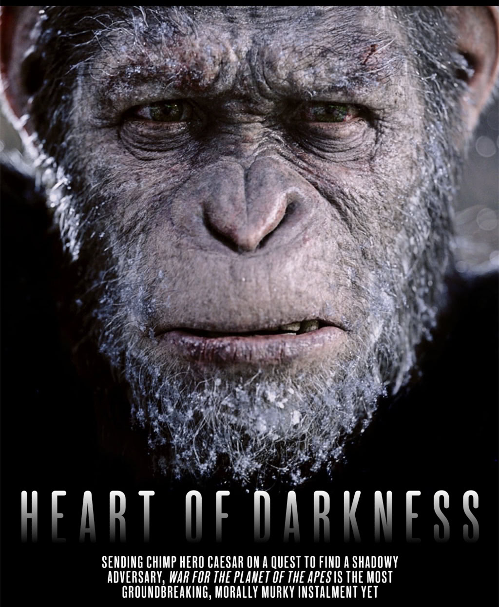 猩球崛起3曝全新剧照凯撒表情逼真到毛发特效令人赞叹