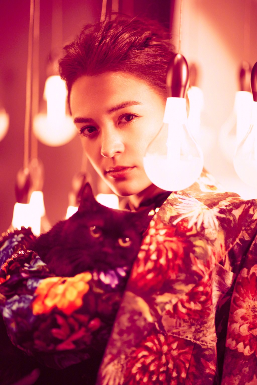 杨贵妃张榕容与退隐江湖的黑猫luna再度重逢