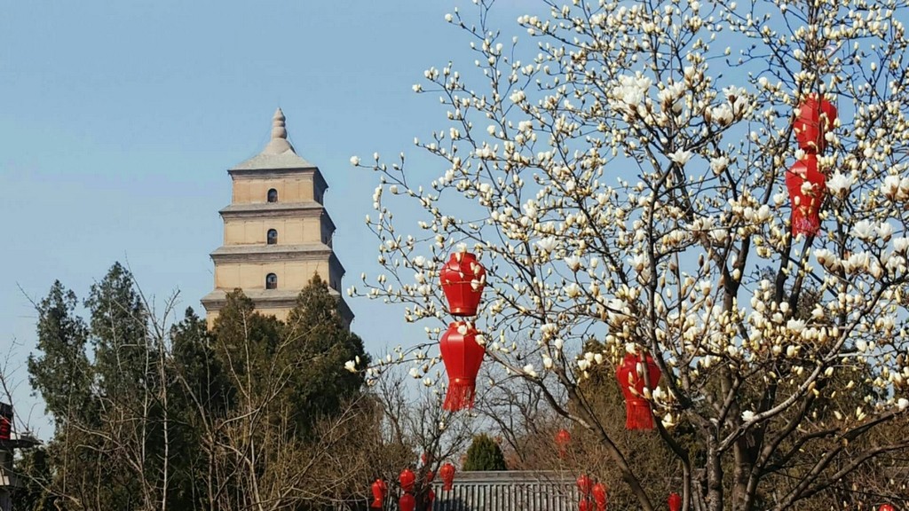 古城西安:彩龙舞动的春天来了 黄毅军 摄影