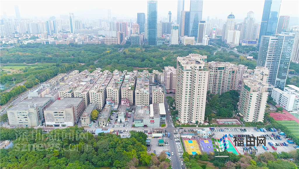 飞越福田:"袖珍村"变身设计之都 田面村凤凰涅盘