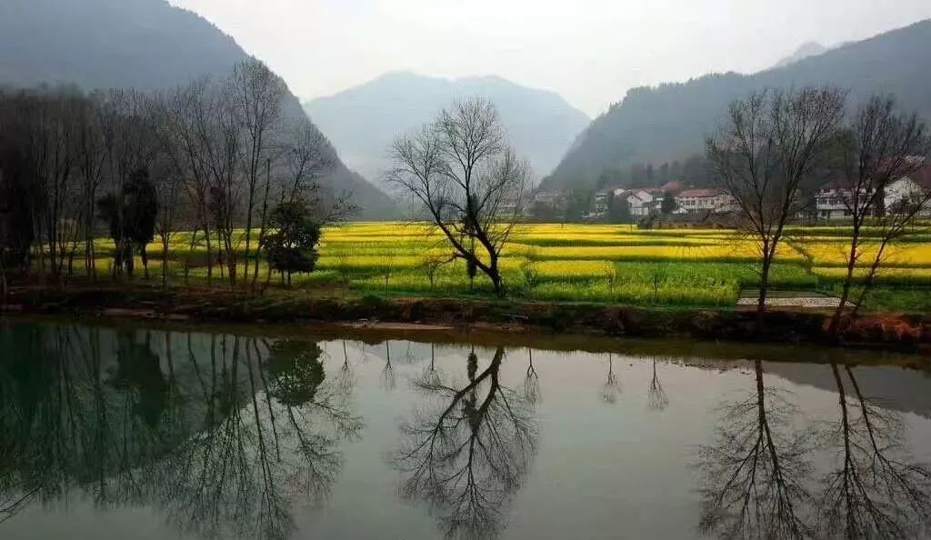 陕西人都去勉县看油菜花却不知汉中这个小城藏匿着绝世美景