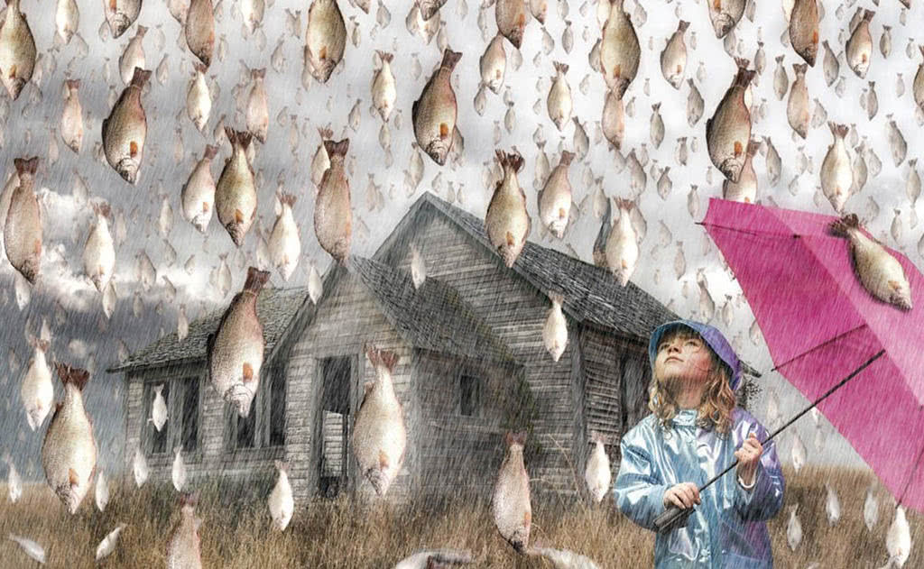 天空中真的会下鱼雨吗?