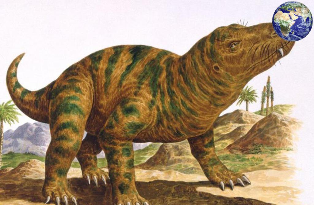 事实上犬颌兽也是一种兽孔目动物,与我们昨天科普过的冠鳄兽以及更早