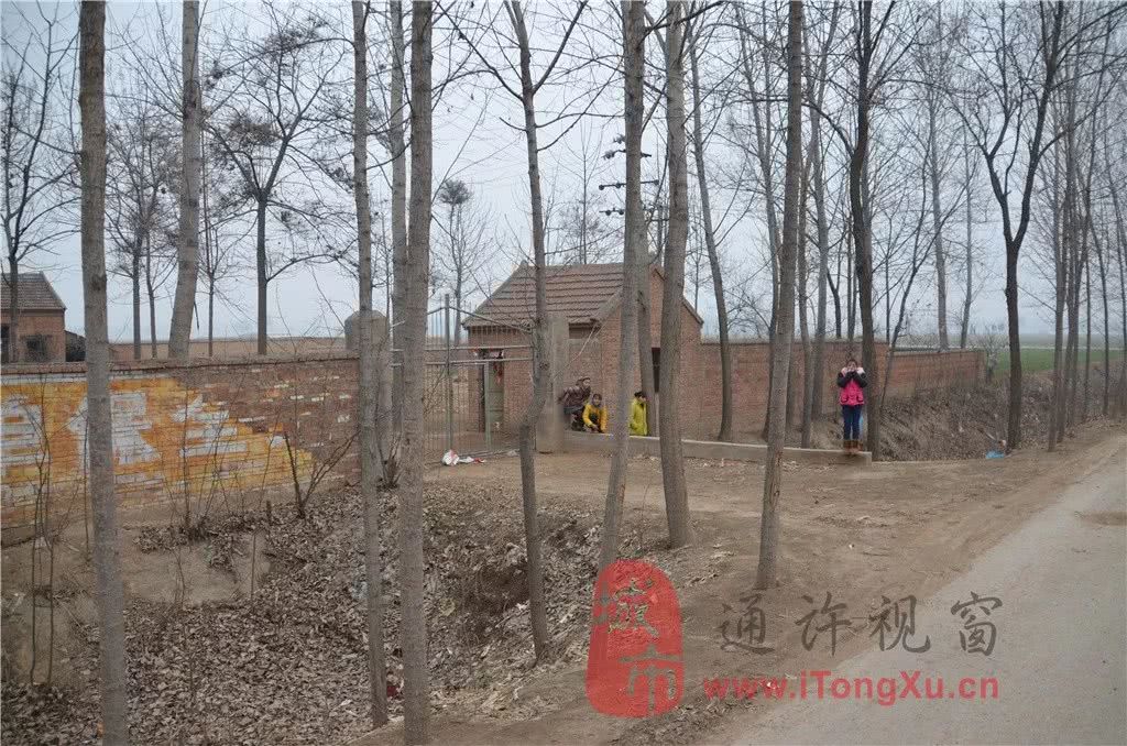 通许老家房子破破烂烂,为什么要回老家过年?