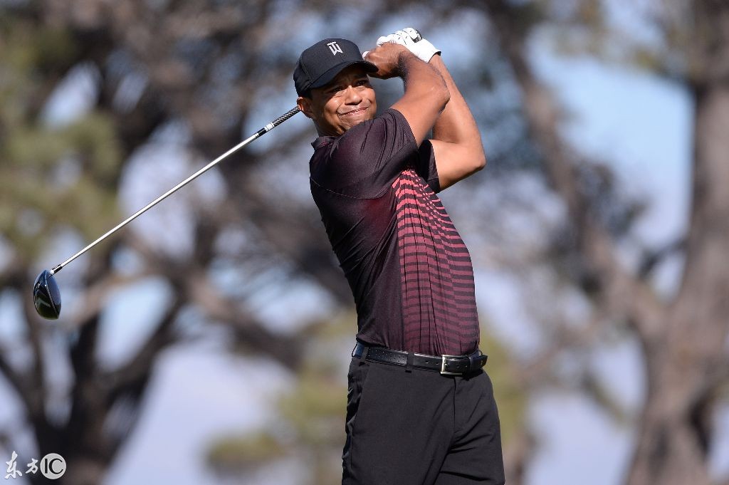 老虎伍兹:艾德瑞克·泰格·伍兹