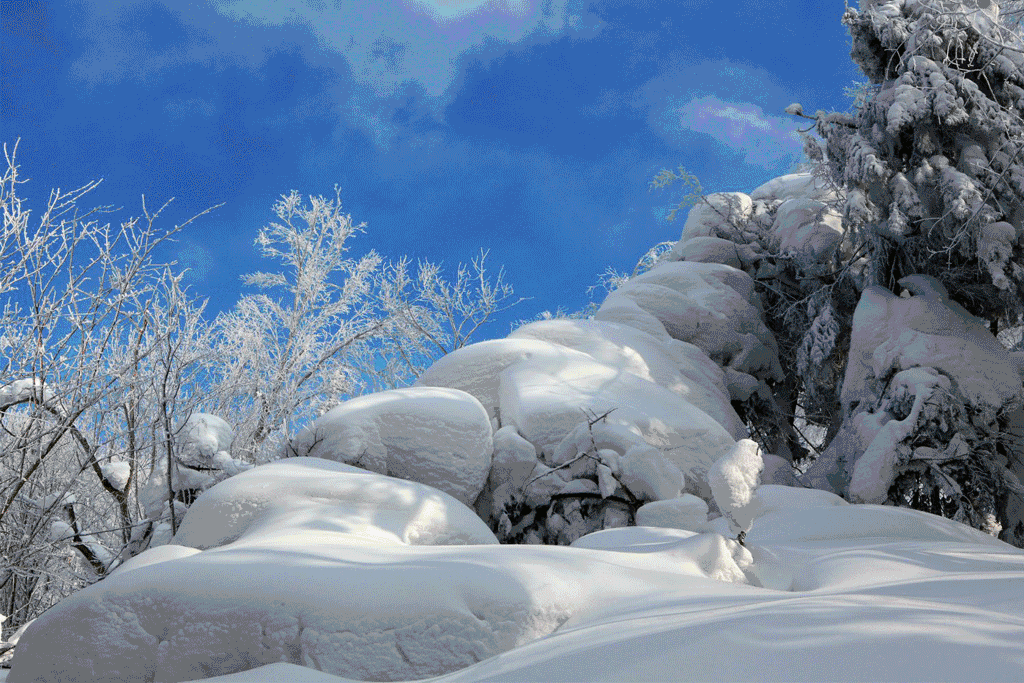 1024_683gif 动态图 动图