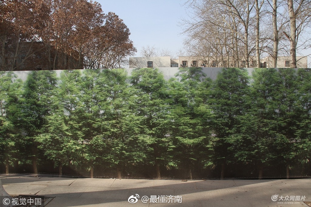 1月3日,在山东济南山大路附近,一高校校园内不少围挡被披上绿油油的