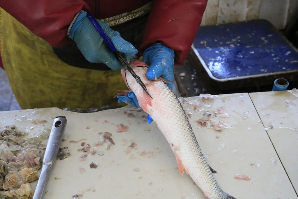 她向我介绍这种"六愣子"鱼,蒜瓣肉,刺少,十分少见的美味,尤其是最近