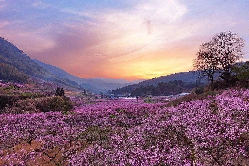 向往陶渊明的桃花源?藏地给你10个这样的地方
