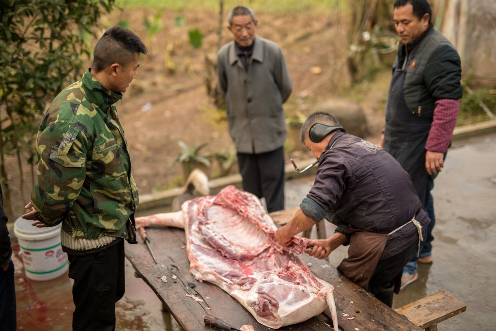 如何给两三百斤的大肥猪洗木桶浴?答案:先把它杀了!