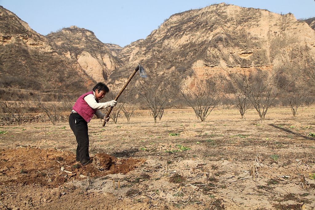 陕西关中农村传统农耕生活,春节过后看看农民们都在干啥