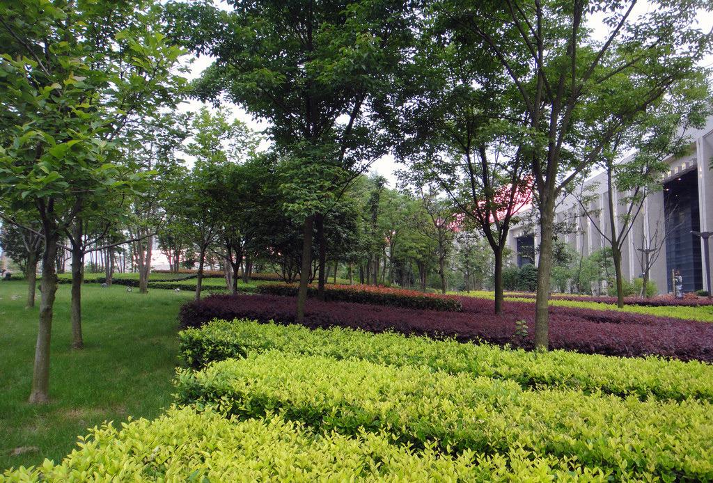 园林种树注意这四点,既美观又好养活