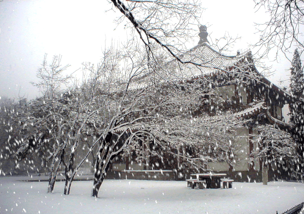 下雪啦河南今冬第一场雪飘在了这里郑州什么时候下雪
