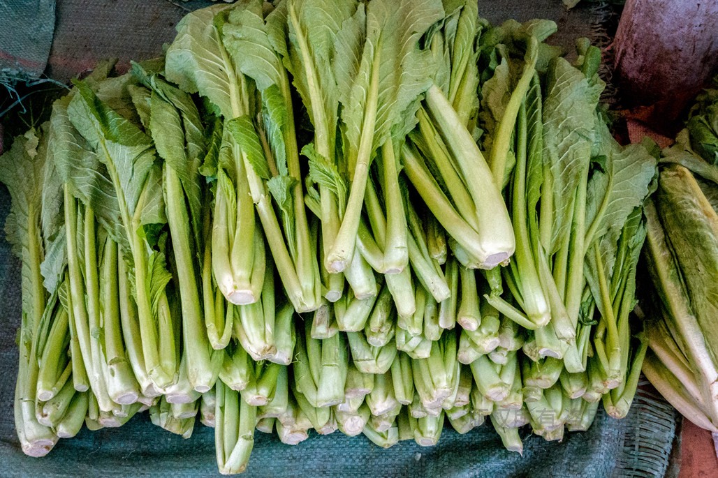 云南昆明菜市场地摊上这些蔬菜谁第一个报上名字发给大红包