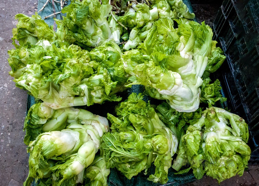 云南昆明菜市场地摊上这些蔬菜谁第一个报上名字发给大红包