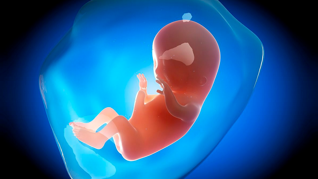 怀孕期间胎儿智商发育"黄金期"孕妈千万别错过了