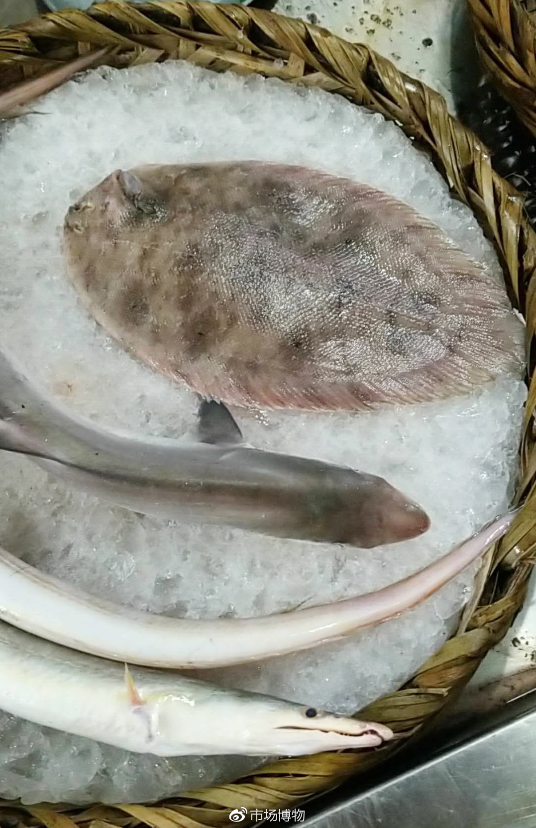 趁圩赶集—海口市美兰板桥海鲜市场,新鲜品种多,但价不算低