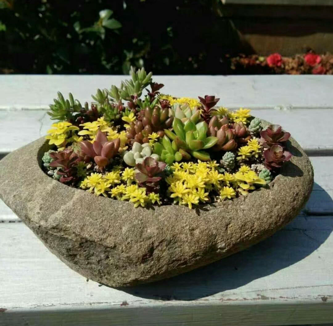 用鹅卵石做的花盆漂亮的不像话有种自然和新鲜感