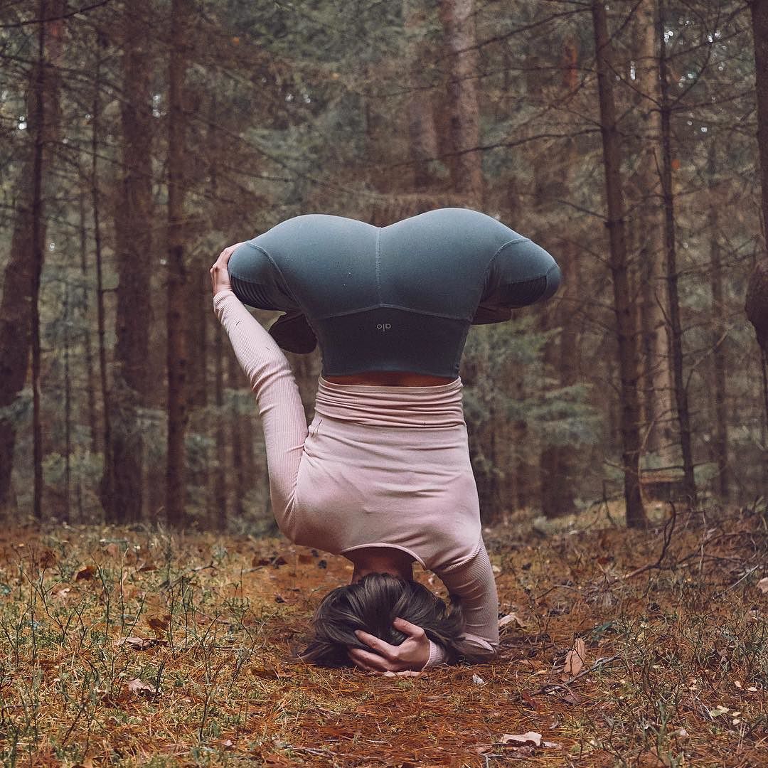 坚持这几个体式,练就凹凸有致的明星身材|体式|瑜伽|身材_新浪新闻