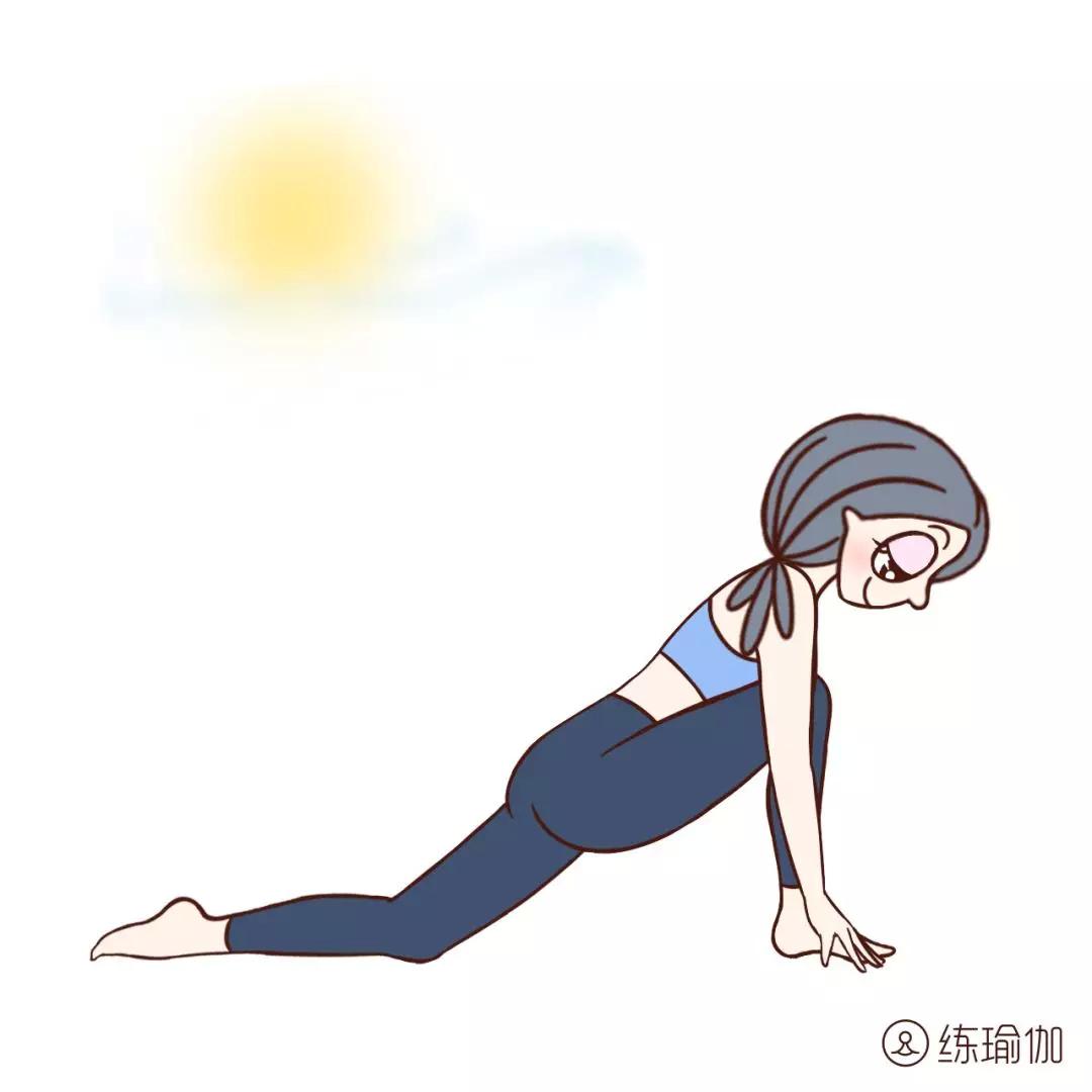 蜥蜴|体式|膝盖_新浪新闻