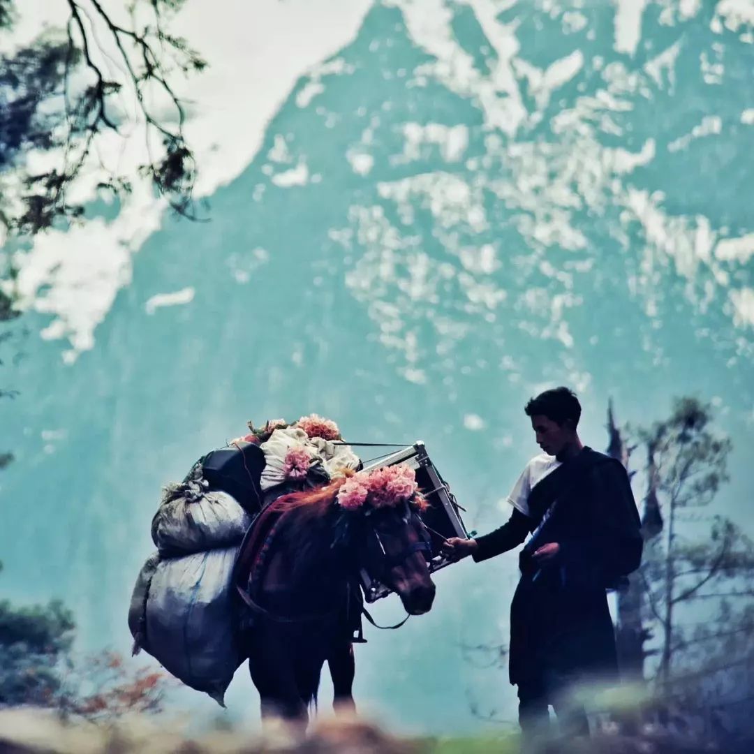 《极地》:2018年最火的西藏纪录片