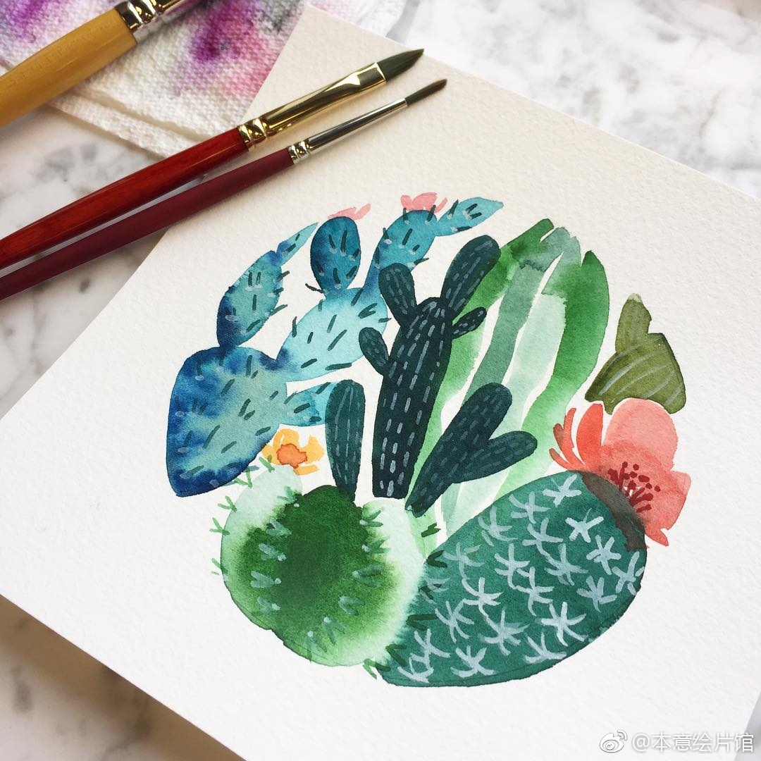 一组仙人掌主题水彩画.| 绘画:courtney bray