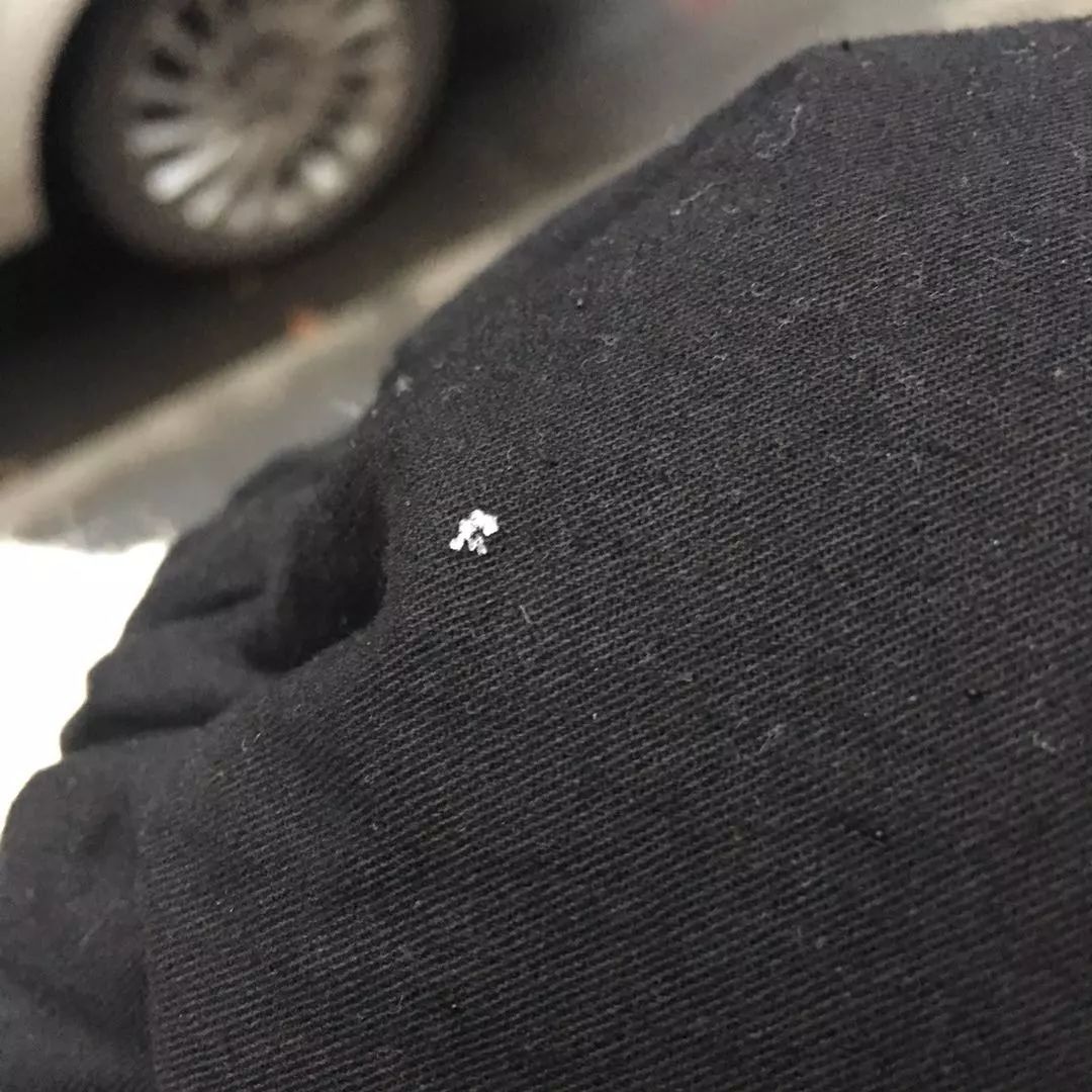 成都终于下雪啦!一粒一粒超大颗,赶紧出门看看!