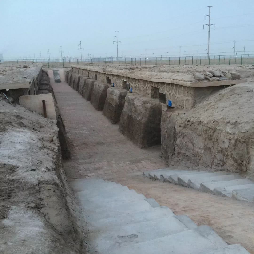 种冬瓜罗布泊硫酸钾镁怎么用才最有效?有没有讲究?