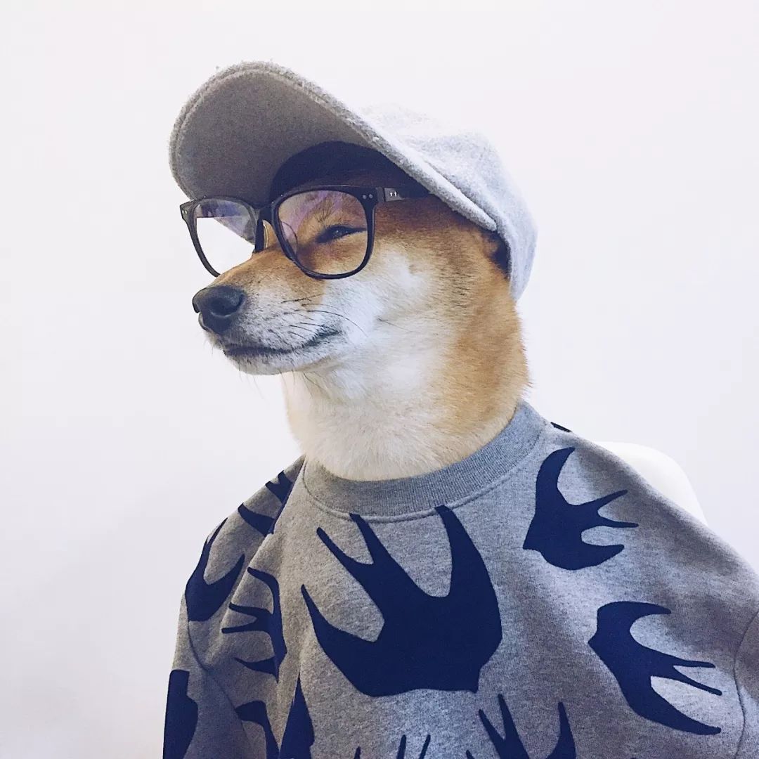 狗的不仅是你们人类lofter@东山先生你们有没有怀疑过你家主子其实