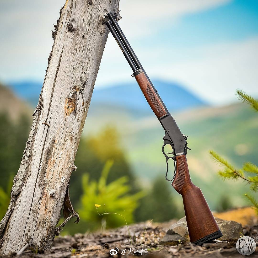 送一组杠杆枪美图