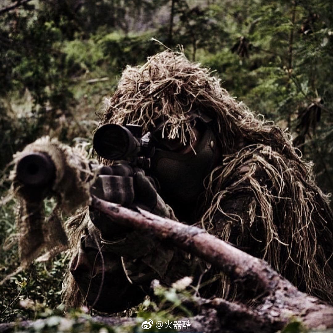 融入进背景的狙击手