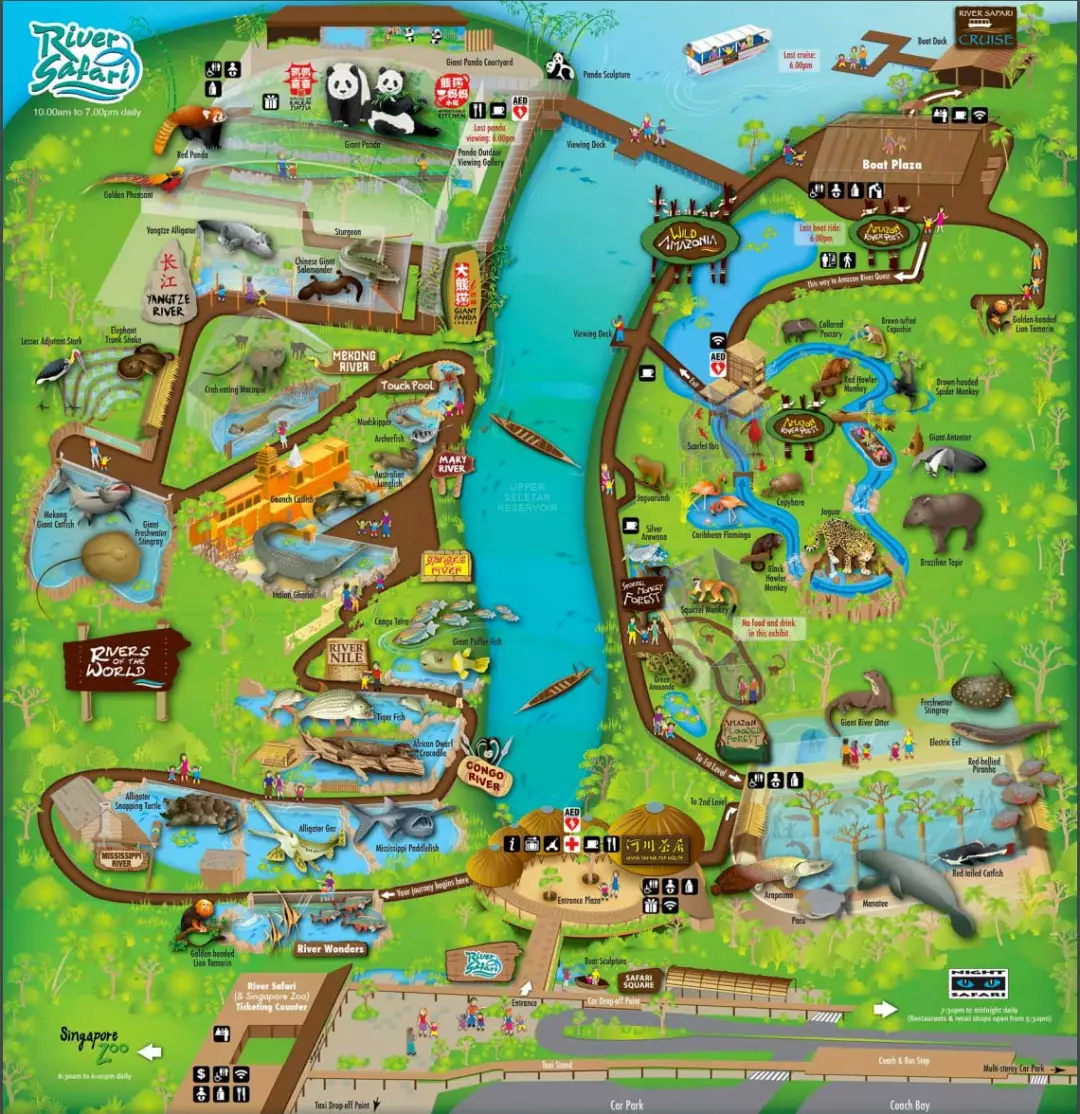 人类努力了几百年 只为在城市中能见到最真实的野性