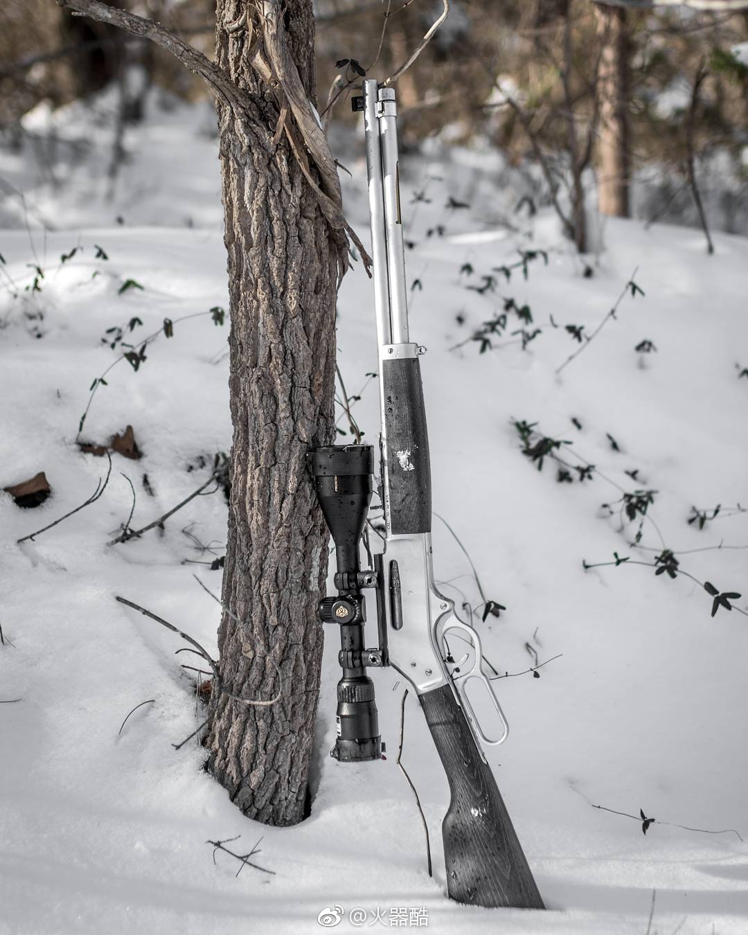送一组杠杆枪美图