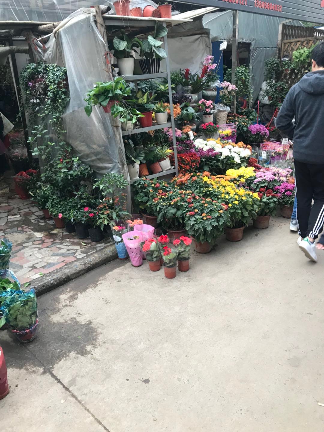 带你看镜头下周六的合肥裕丰花市,你是否有特殊的感觉